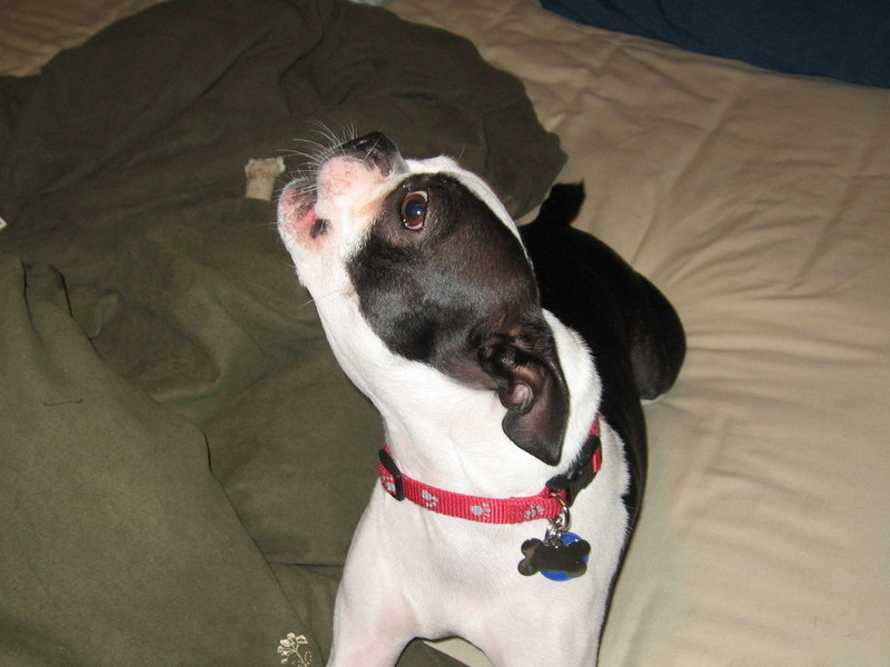 Greta singing!