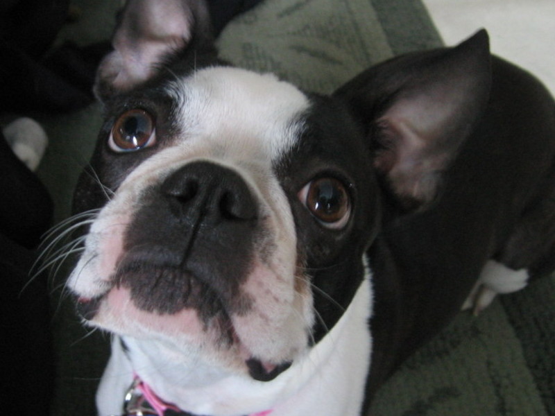 We love you Greta!