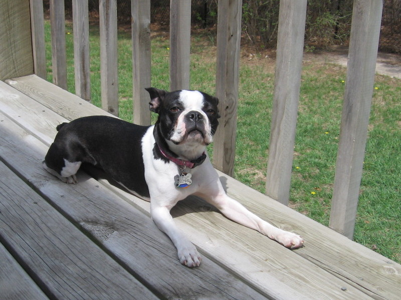 Basking in the sun...ahhh.