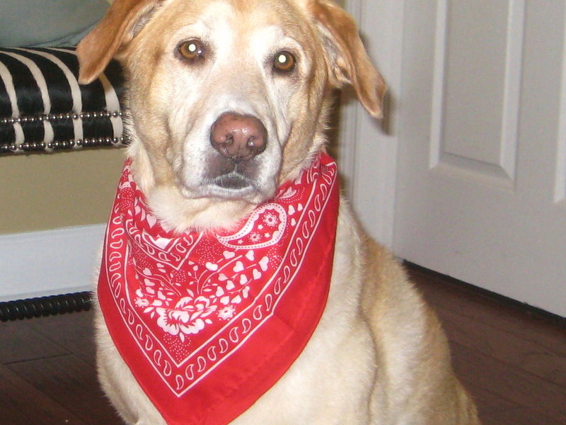 Beautiful in her scarves - this one from 