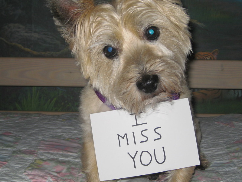 I miss you, too