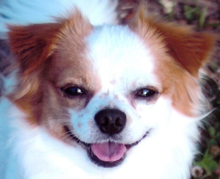 Such a beautiful smile