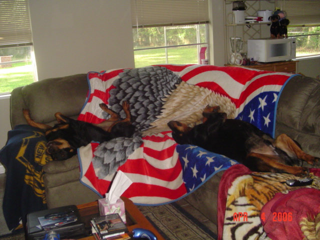 Cockroaching with her brother