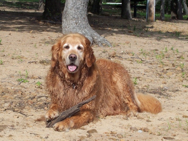 Cookie at Beach 8 yrs