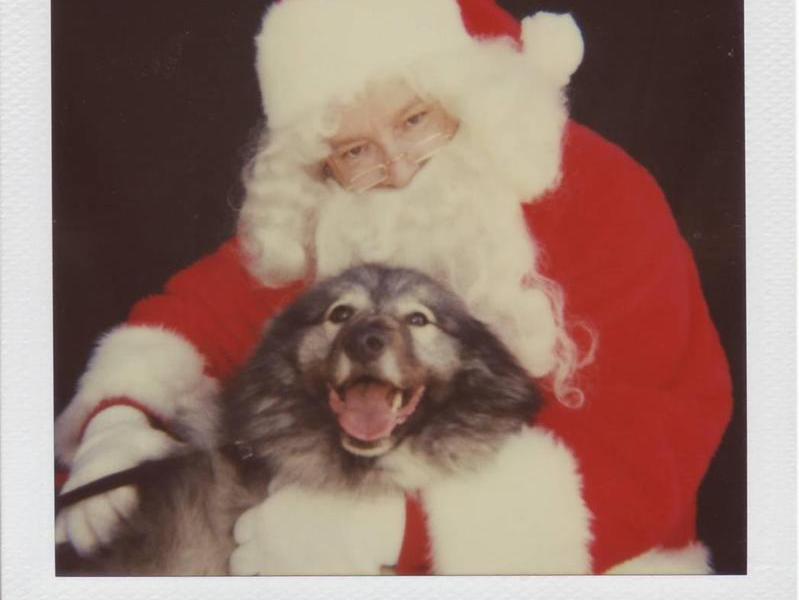 Zack w/ Santa 2004  He love opening gifts