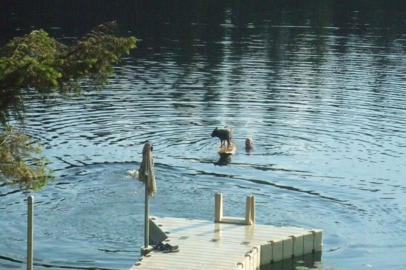 Here he is surfing at the lake