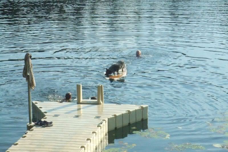 Cowboy and I playing in the lake