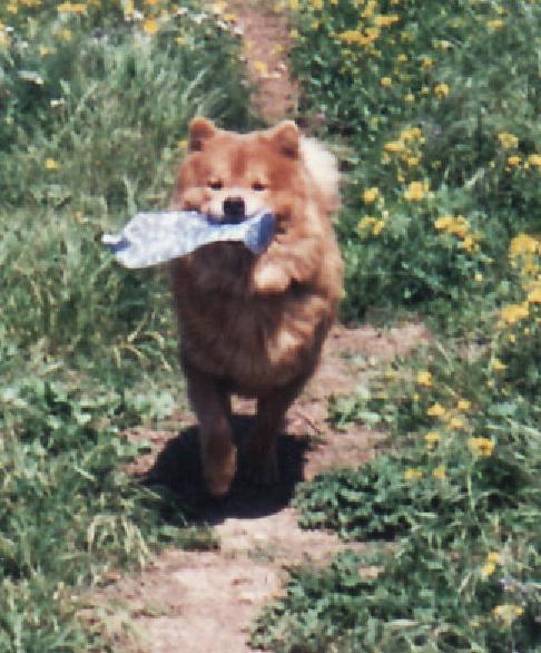 Cyrus with his plastic bottle