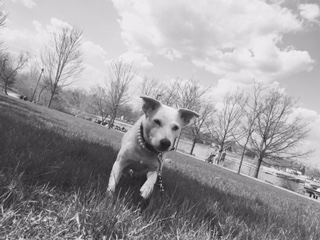 She loved the Park at the Lake