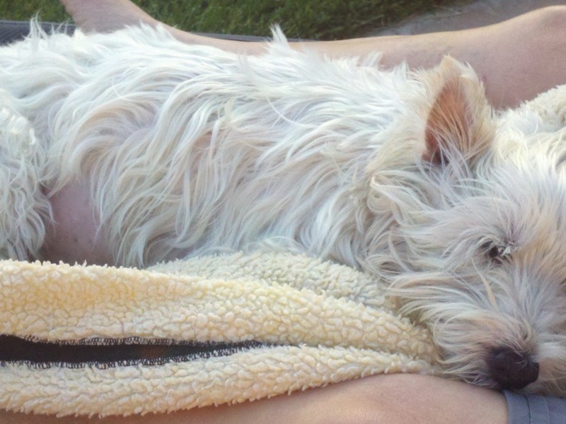 resting outside with Mom just 5 hrs before he passed away