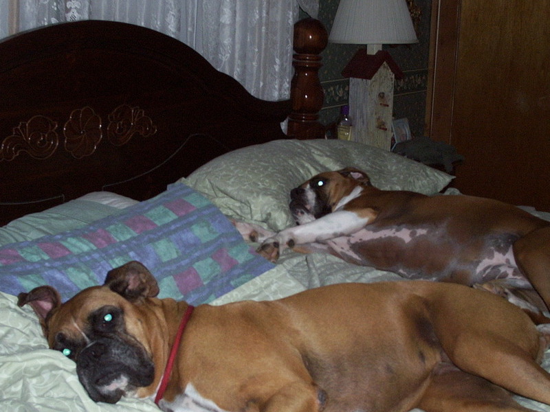 Dix and her partner in crime,Cassie, in Mom & Dad's bed