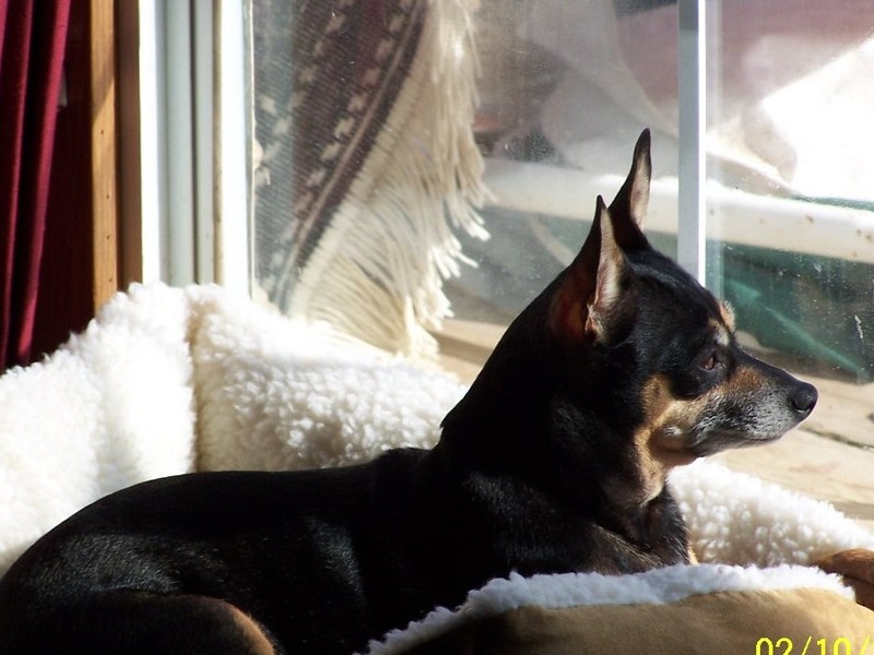 minnie in her Big Girl Bed