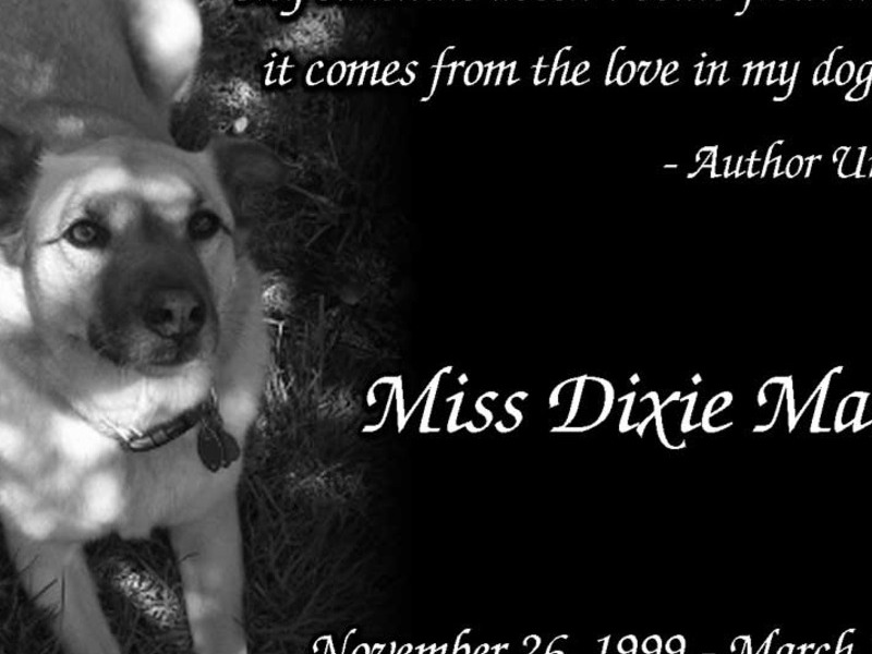 Dixie's Urn