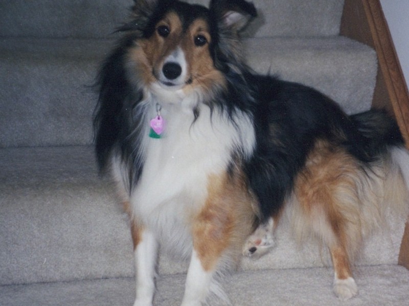 Waiting for mommy and daddy to come downstairs