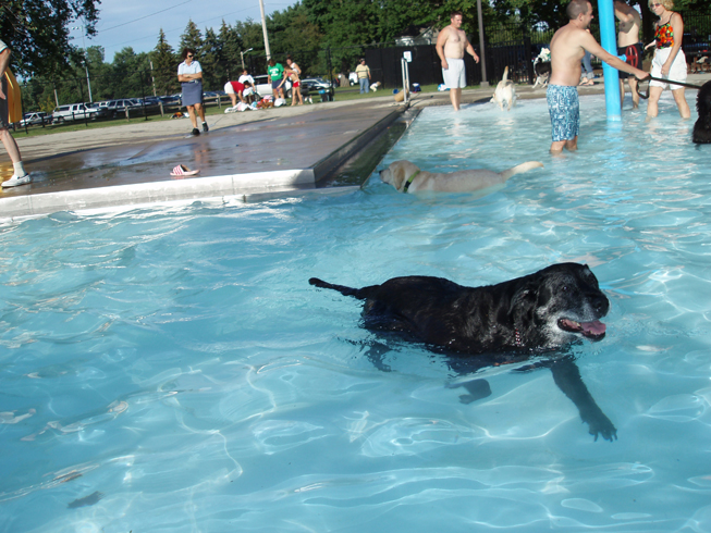 Osborne Pool Doggy Swim, Willoughby, OH, August 2007
