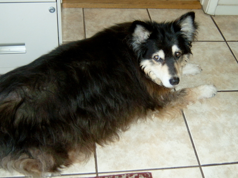 Lounging in the kitchen