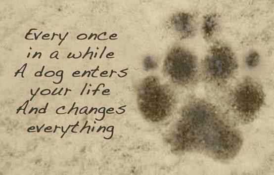 Apoem I found 1 day when I was sad at the wourld before killer & Diva died .