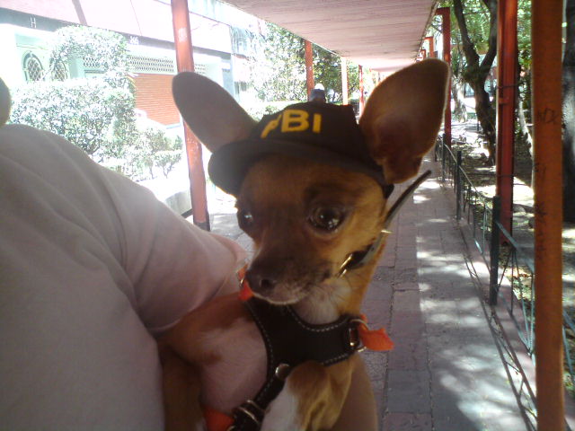 Todo un jockey!!