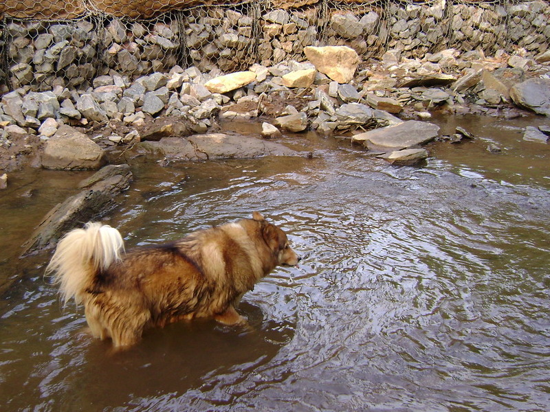 2009: Playing in the creek
