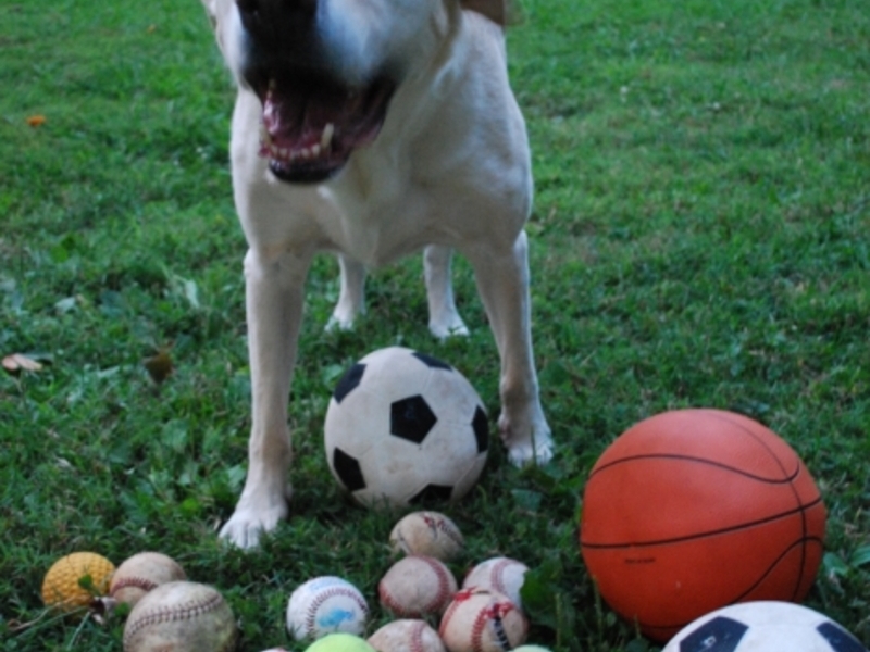 Duncan shows off his collection of balls