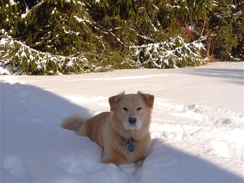 enjoying the snow