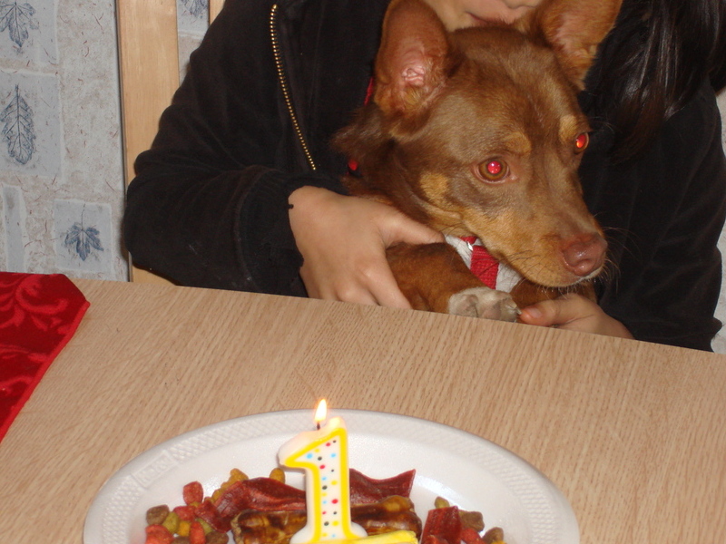 his first birhtday