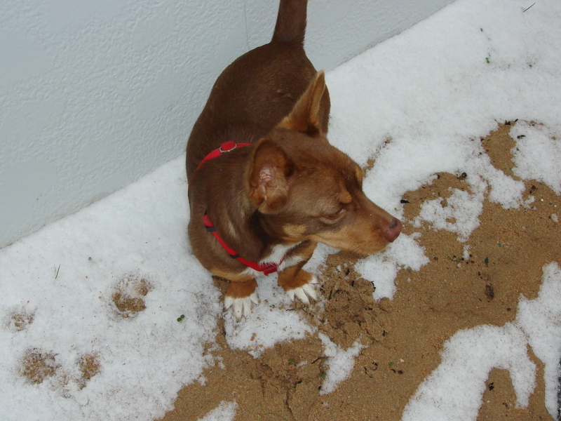 phohis first snow day