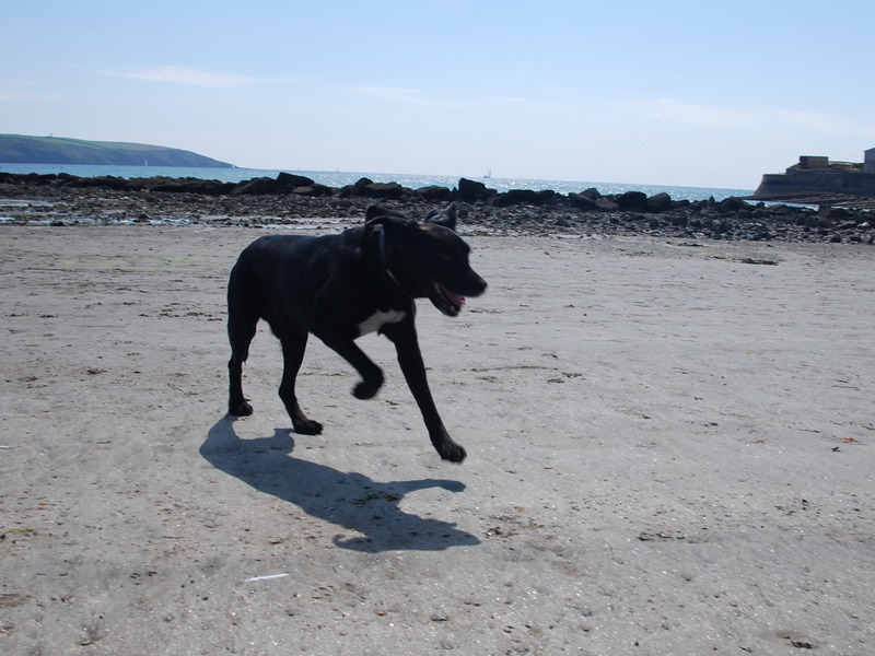 Me on the beach...yipeeee