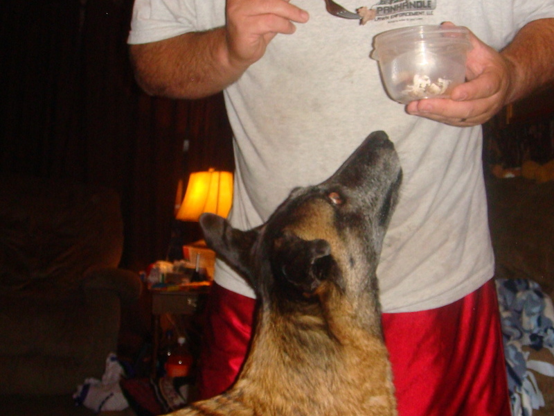 Ruby Eating a Ribeye Steak