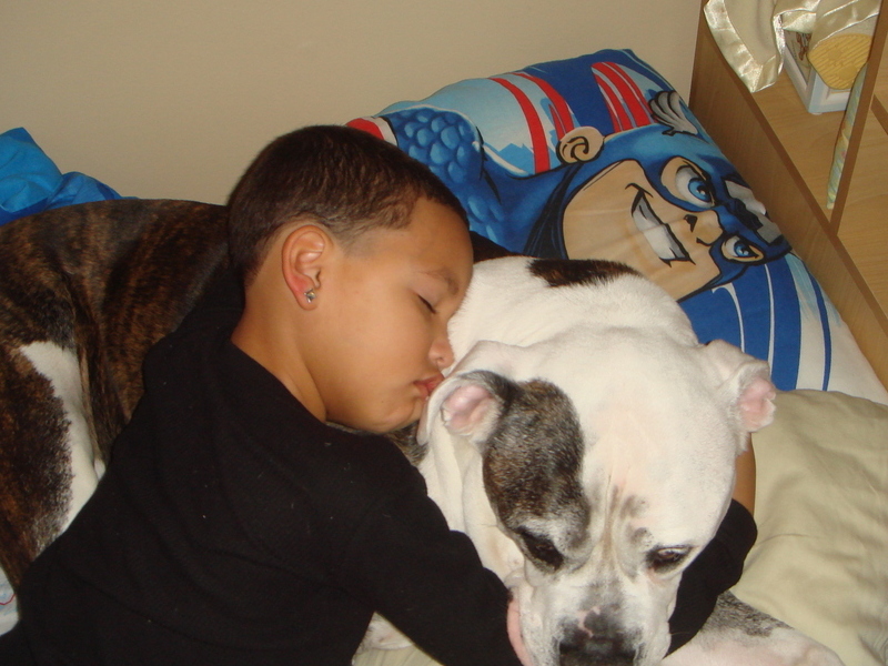 Syrus - letting his CJ use him as a pillow