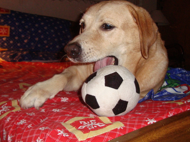 Jugando