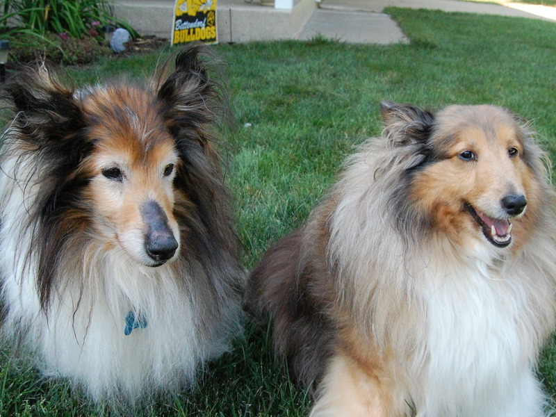 Bailey with her sister, Sadie