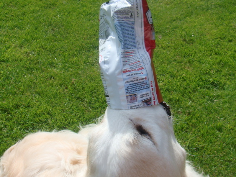 Sam eating his crisps