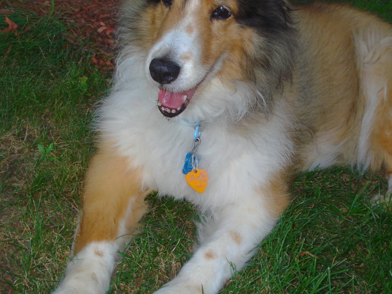 our beautiful girl