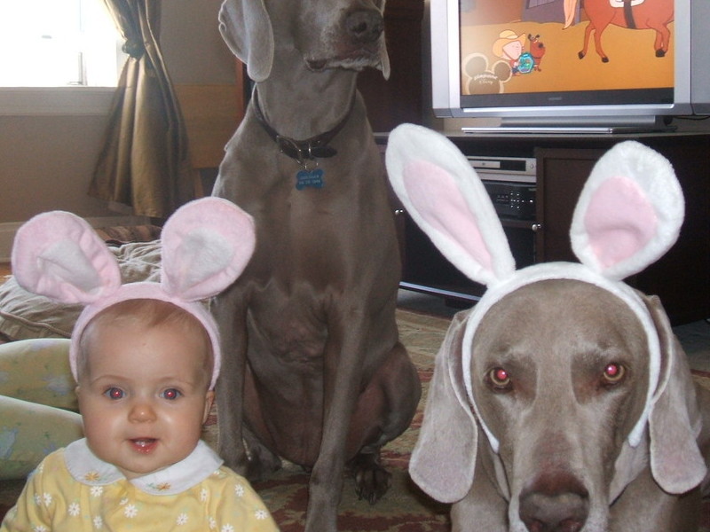 Patiently posing with his friends at Easter