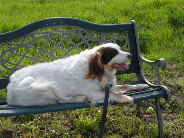hanging out at the park