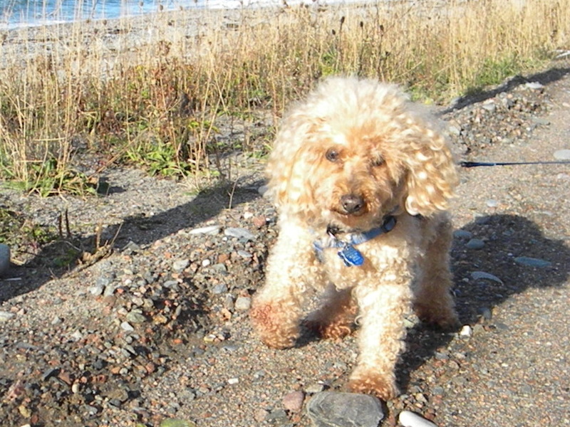 photo caption