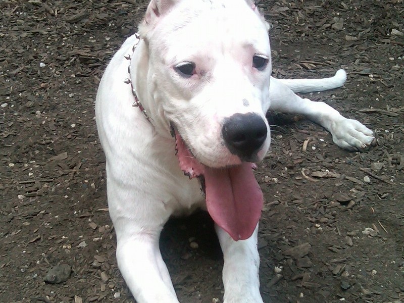SKYLA AT THE PARK