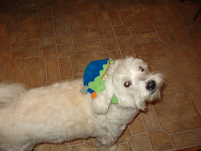 He loved to dress up for Halloween