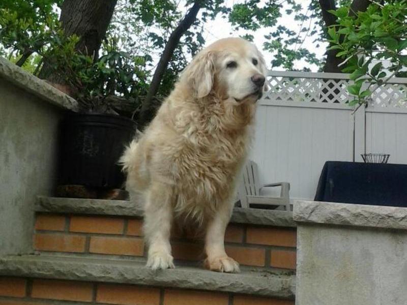 Gatsby a week before he passed away.