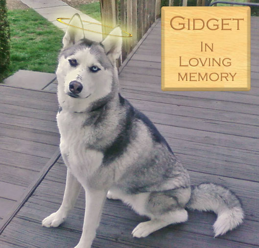 Godspeed my precious baby.