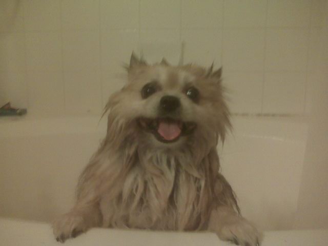 Having a bath. Enjoying the one thing he hated so much.