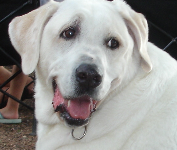 Happy Camper, Enchanted Rock, TX 2006