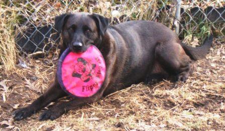 Frisbee anyone?