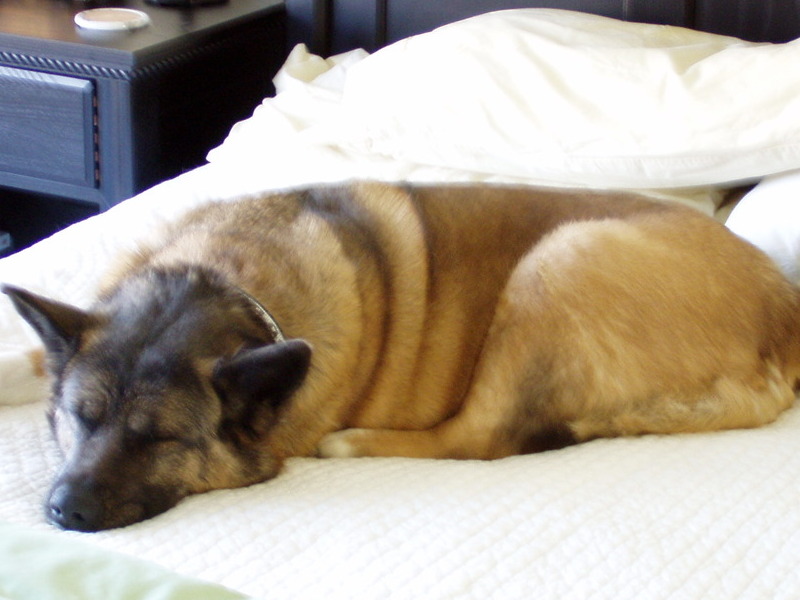 Sleeping in the Big Bed...