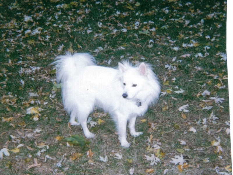 ENJOYING FALL