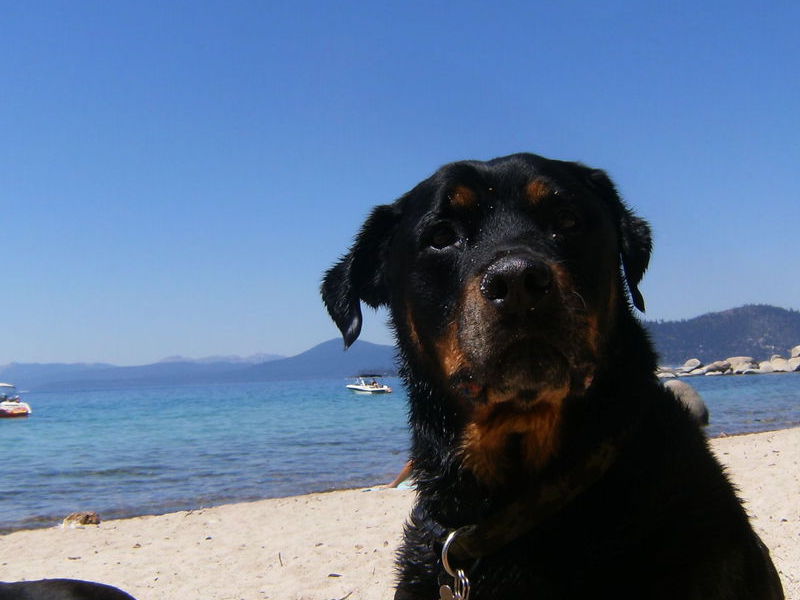 Hanging out on the Beach