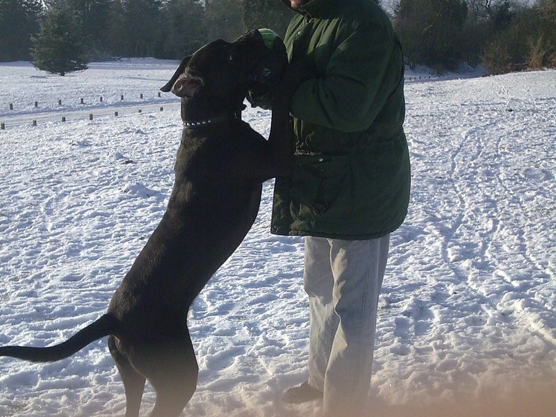 jumping with daddy