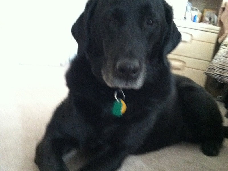 Loved crossing her paws