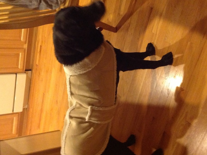 Hated her new winter jacket